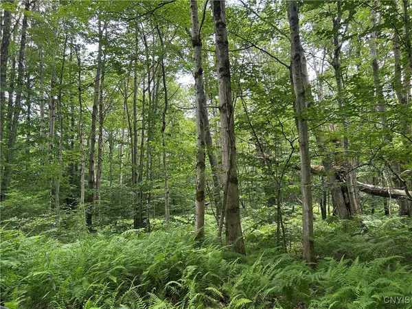 $29,900 | 42 Kimball Camp Road, Orwell, NY 13144