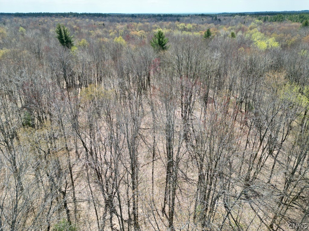 42 Kimball Camp Road Orwell, NY 13144 - Photo 4 of 13