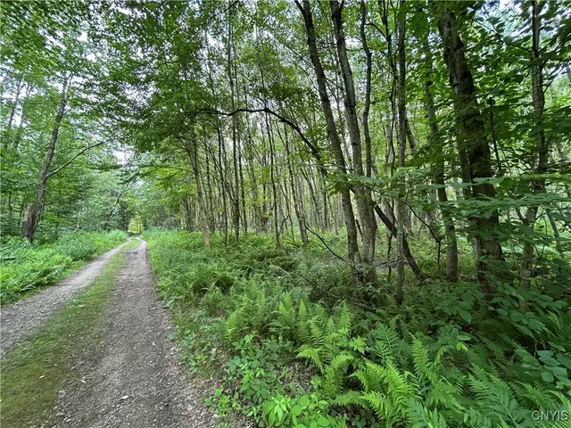 $29,900 | 42 Kimball Camp Road, Orwell, NY 13144