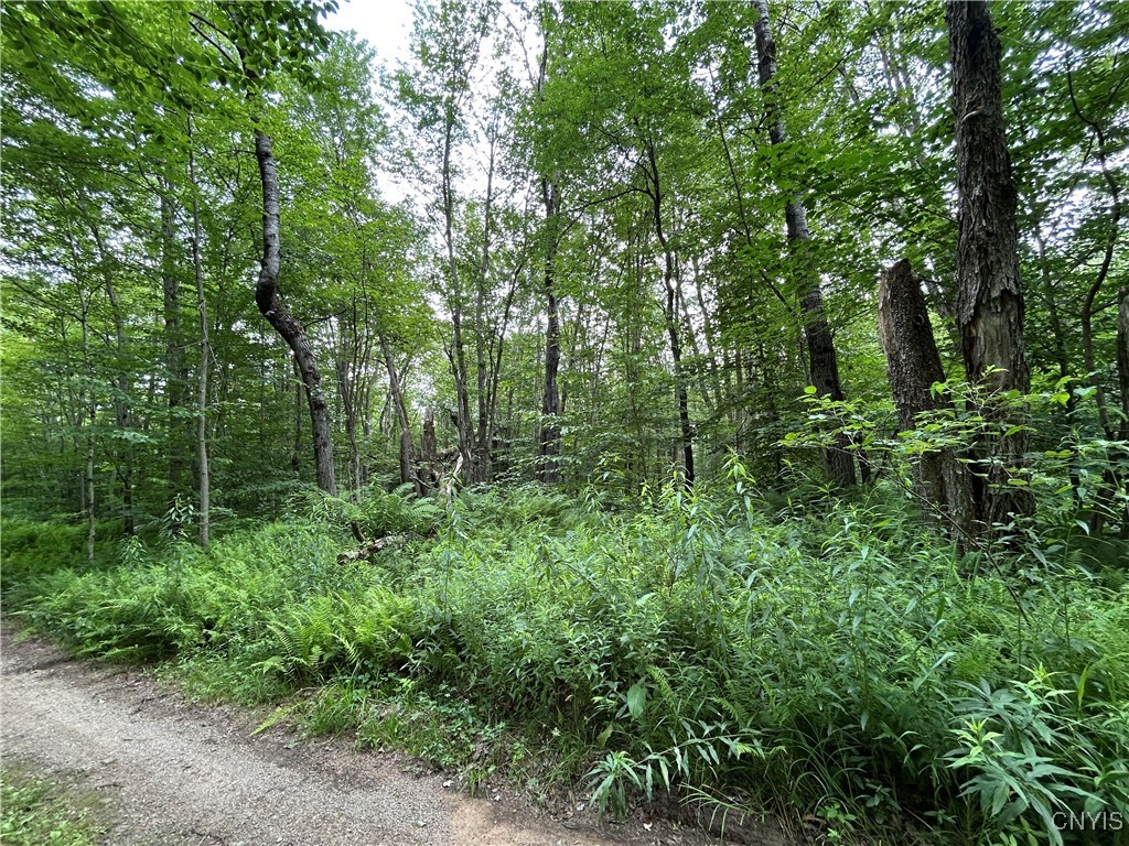 42 Kimball Camp Road Orwell, NY 13144 - Photo 6 of 13