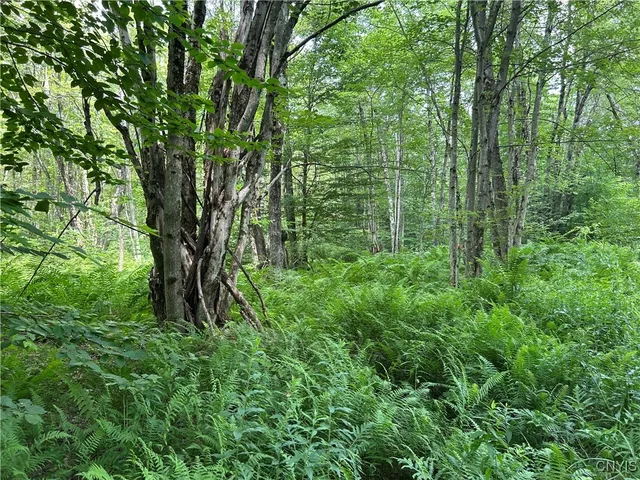 $29,900 | 42 Kimball Camp Road, Orwell, NY 13144