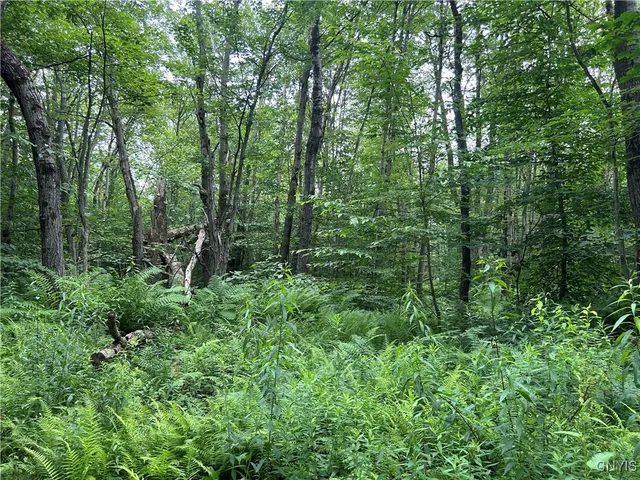 $29,900 | 42 Kimball Camp Road, Orwell, NY 13144