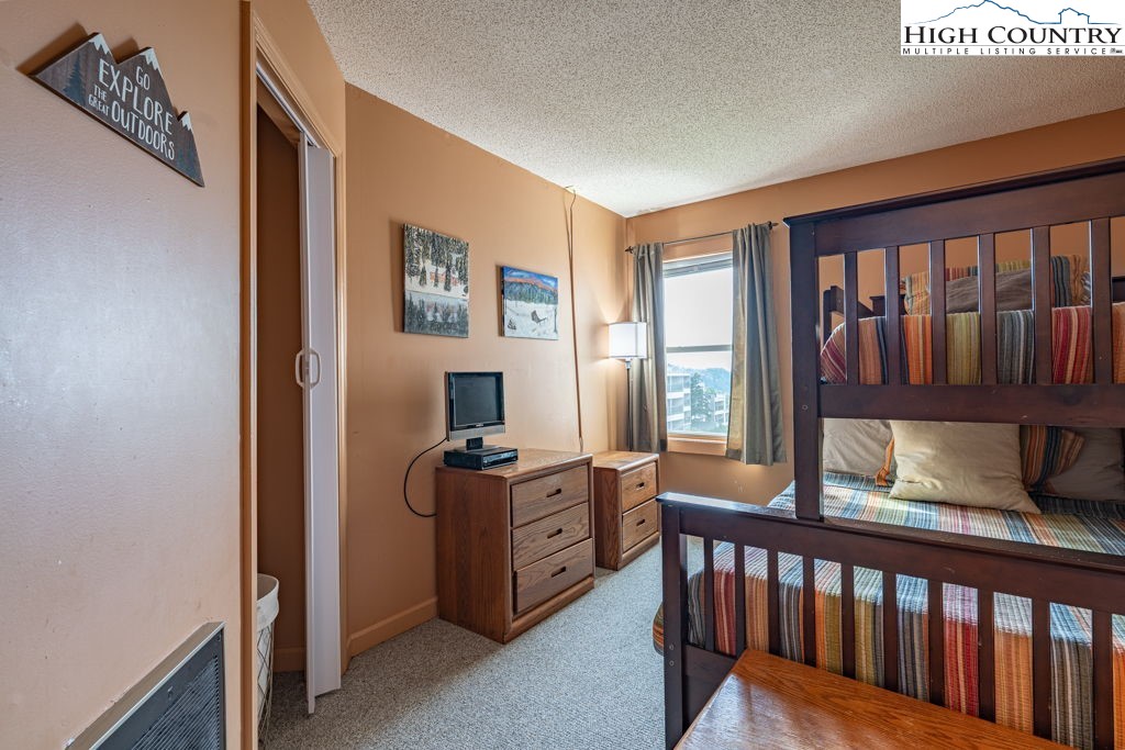 301 Pinnacle Inn Road, Unit 4214 Beech Mountain, NC 28604 - Photo 20 of 34