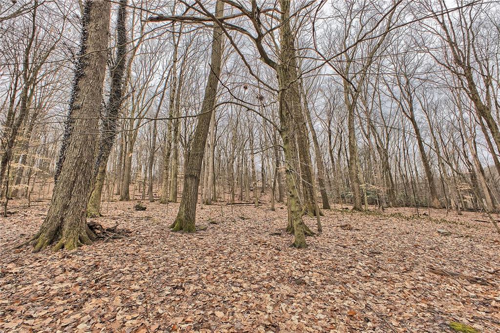 240 Birch Road Acme, PA 15610 - Photo 39 of 44 a backyard of a house with lots of trees