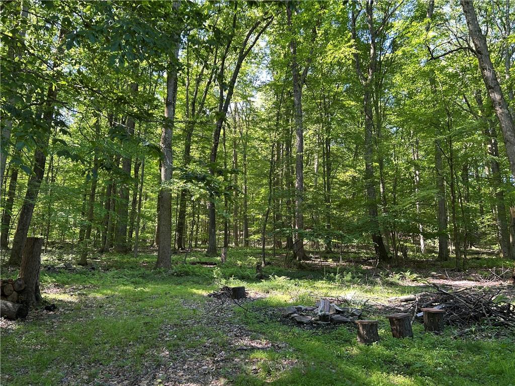 240 Birch Road Acme, PA 15610 - Photo 43 of 44 a backyard of a house with lots of green space
