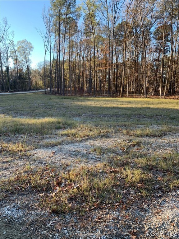 Tbd River Road Henrico, VA 23238 - Photo 3 of 3 a view of a field with trees