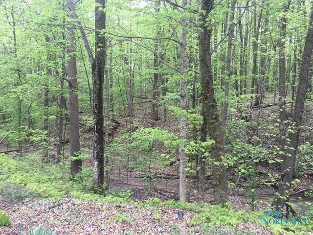 3242 County Road South Edon, OH 43518 - Photo 15 of 15 Gallery Image 15