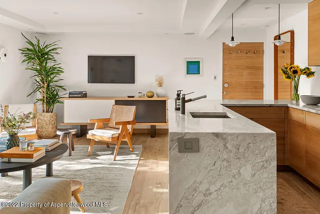 a living room with furniture a flat screen tv and a potted plant