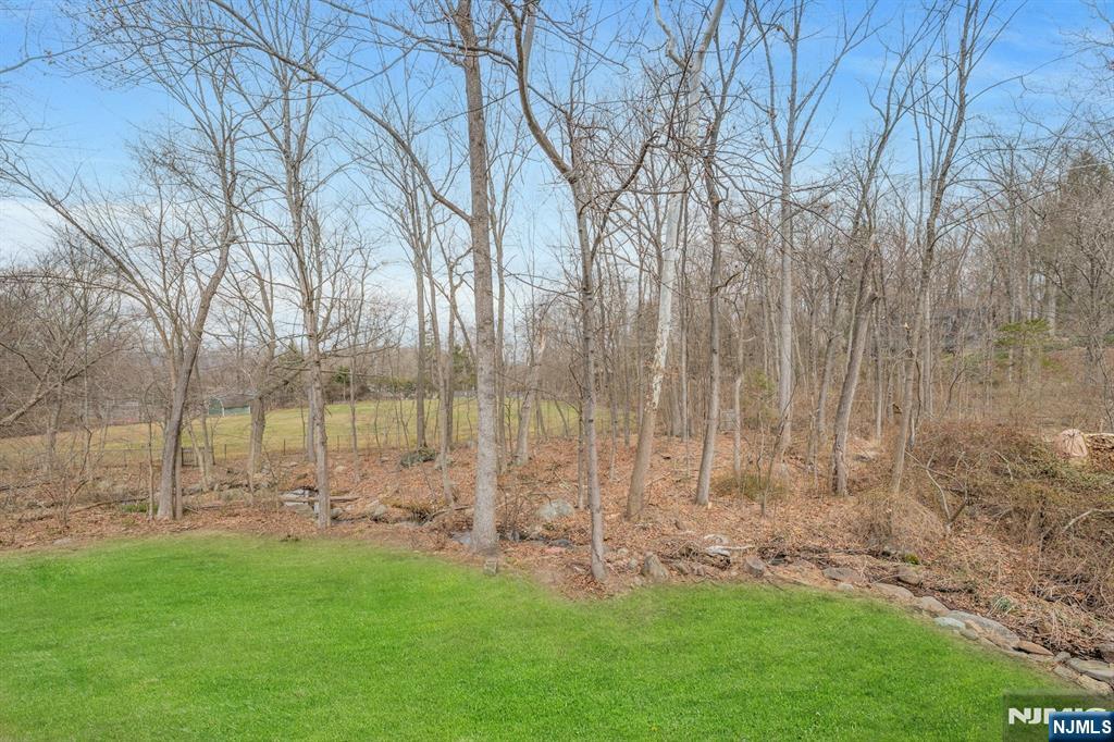 27 Bear Mountain Road Ringwood, NJ 07456 - Photo 40 of 47 a view of backyard with tub