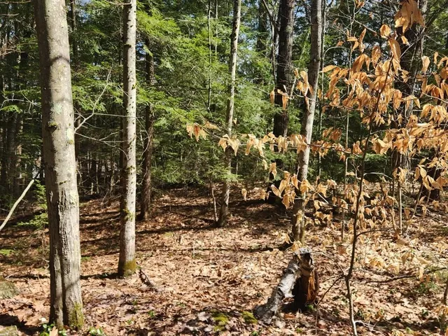 $299,000 | 0 West Main Street, Hillsborough, NH 03244