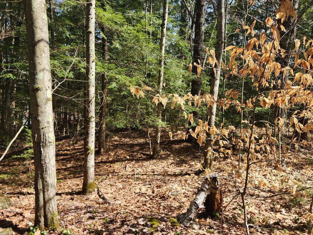 0 West Main Street Hillsborough, NH 03244 - Photo 12 of 51
