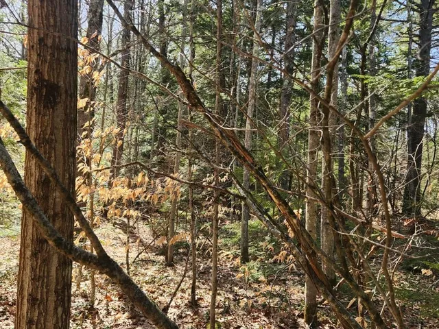 $299,000 | 0 West Main Street, Hillsborough, NH 03244