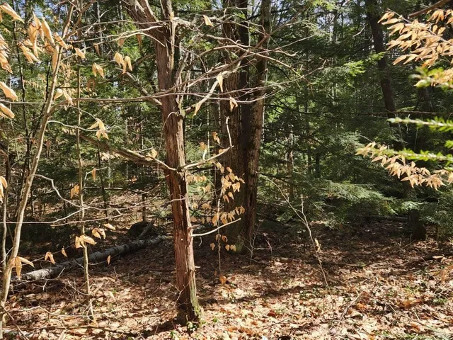 $299,000 | 0 West Main Street, Hillsborough, NH 03244