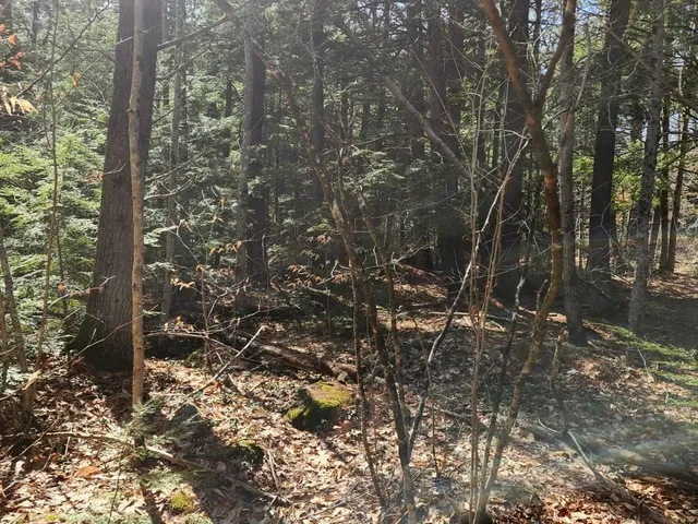 $299,000 | 0 West Main Street, Hillsborough, NH 03244