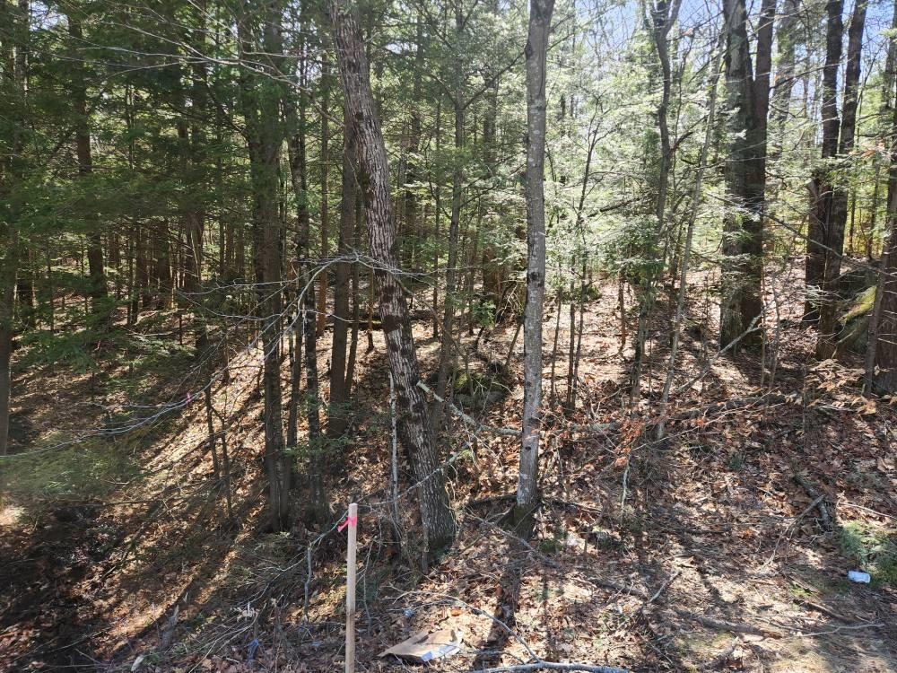 0 West Main Street Hillsborough, NH 03244 - Photo 20 of 51