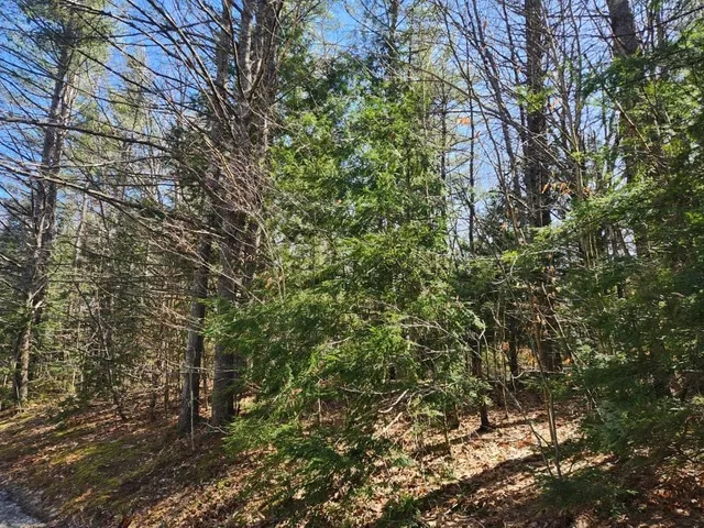 $299,000 | 0 West Main Street, Hillsborough, NH 03244