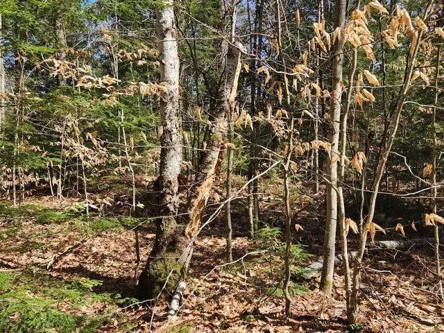 $299,000 | 0 West Main Street, Hillsborough, NH 03244