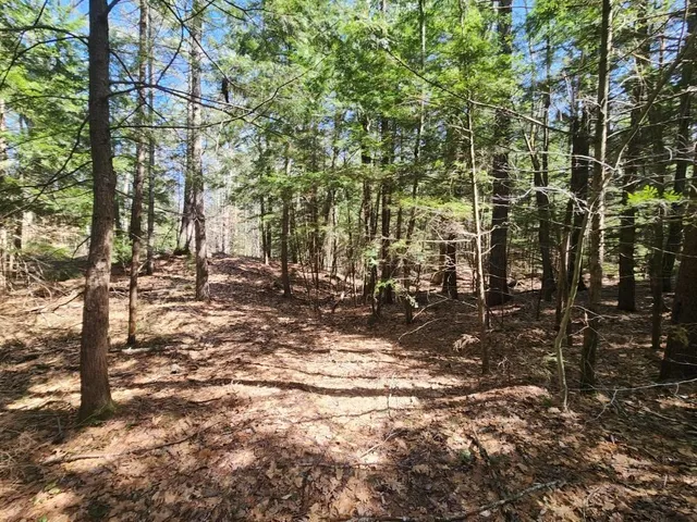 $299,000 | 0 West Main Street, Hillsborough, NH 03244