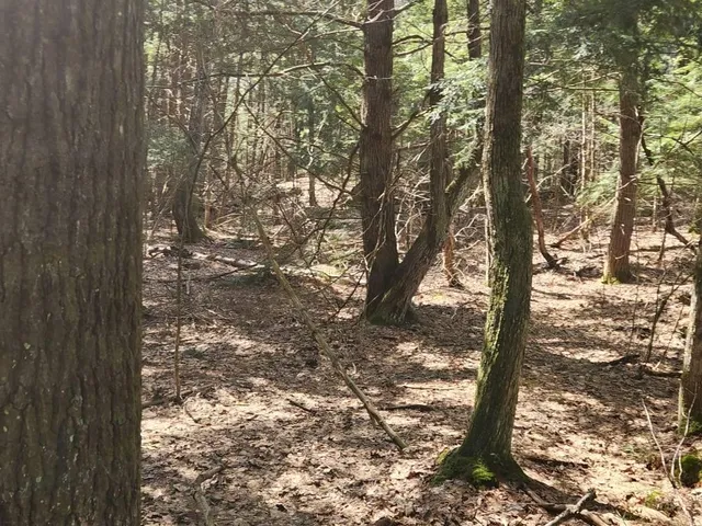 $299,000 | 0 West Main Street, Hillsborough, NH 03244