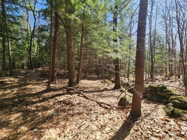 $299,000 | 0 West Main Street, Hillsborough, NH 03244