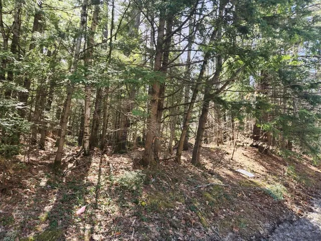 $299,000 | 0 West Main Street, Hillsborough, NH 03244