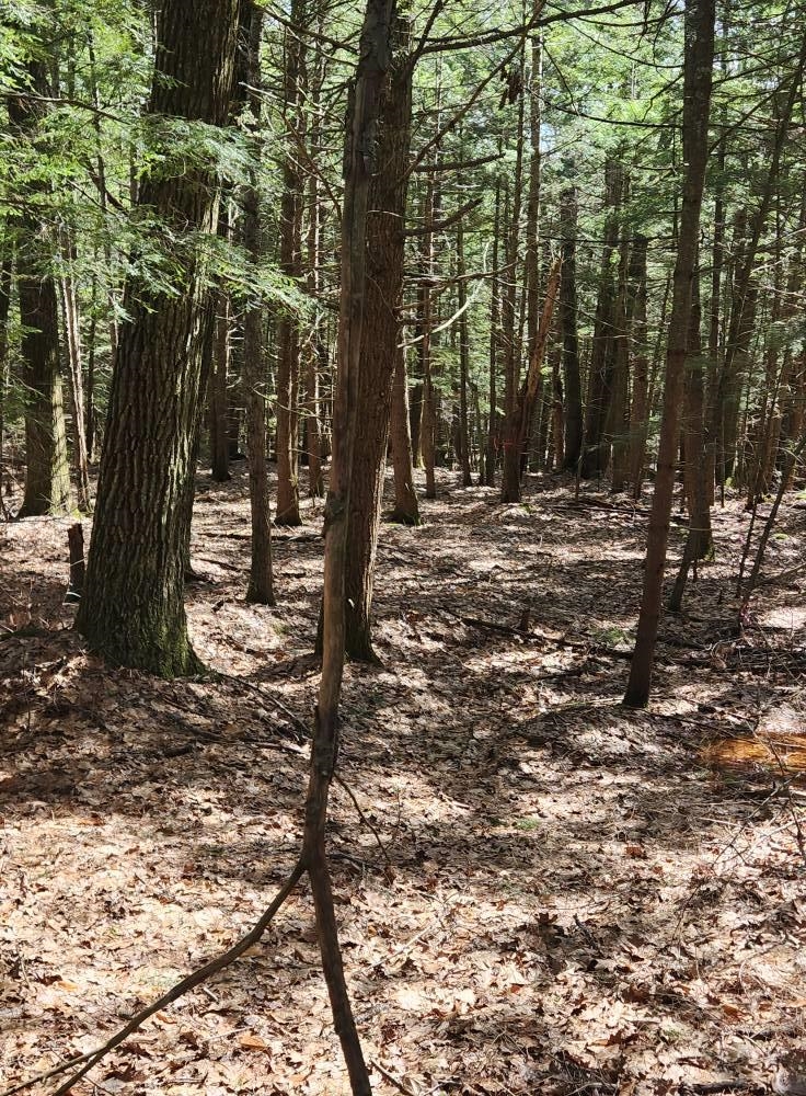 0 West Main Street Hillsborough, NH 03244 - Photo 43 of 51