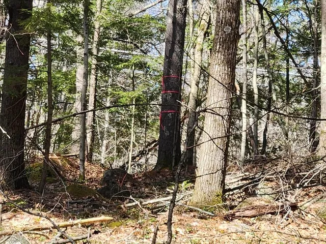 $299,000 | 0 West Main Street, Hillsborough, NH 03244