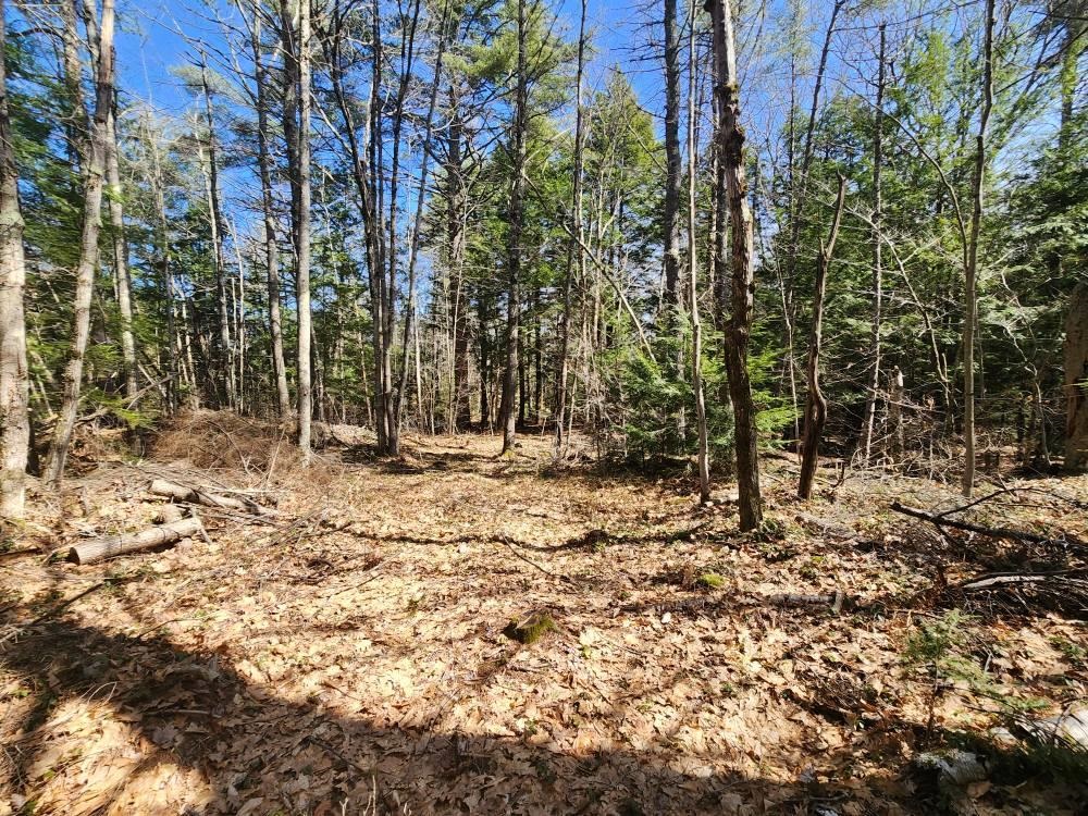 0 West Main Street Hillsborough, NH 03244 - Photo 10 of 51