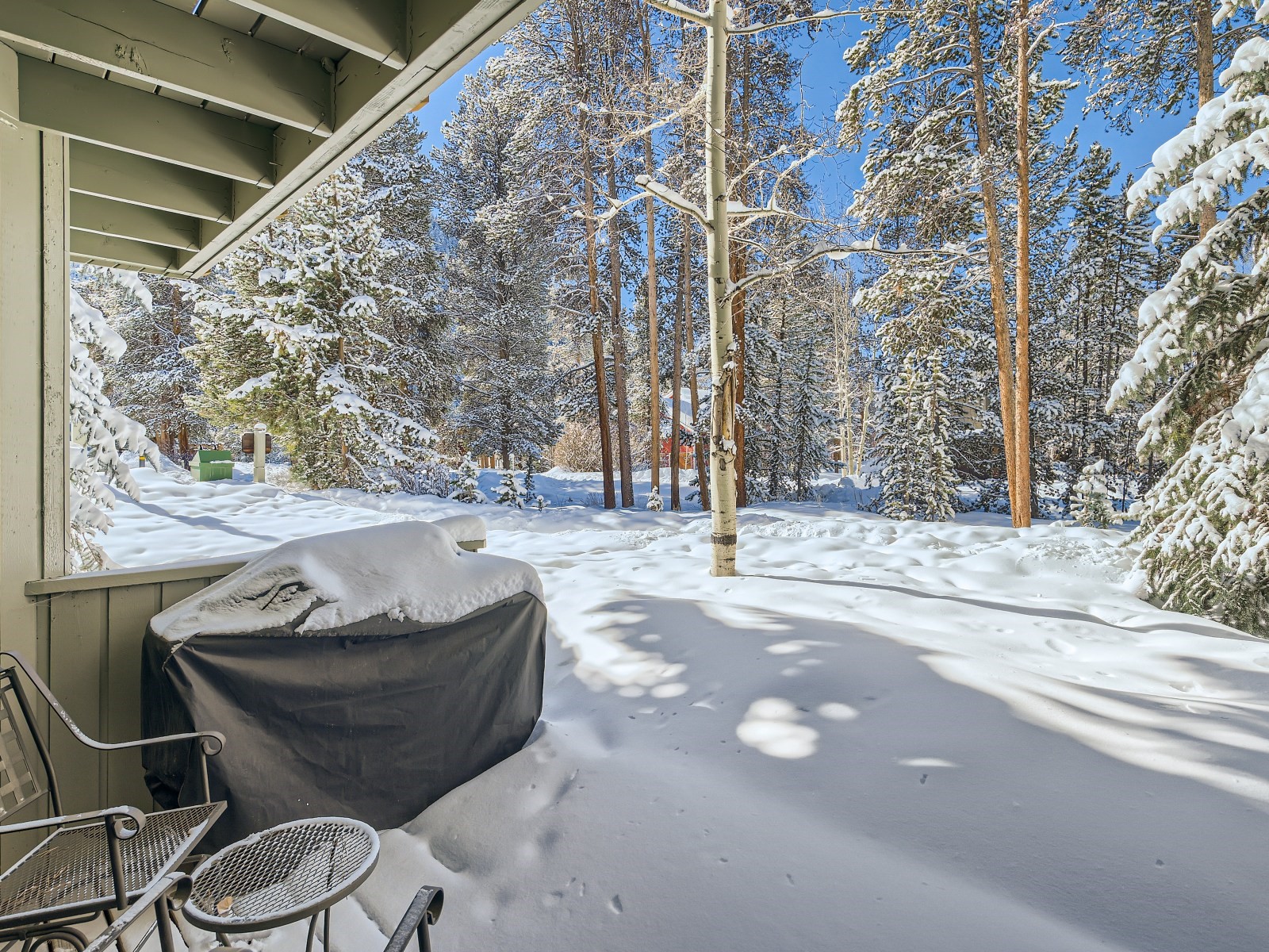 100 Wild Irishman Road, Unit 1110 Keystone, CO 80435 - Photo 17 of 25 Patio with a grill