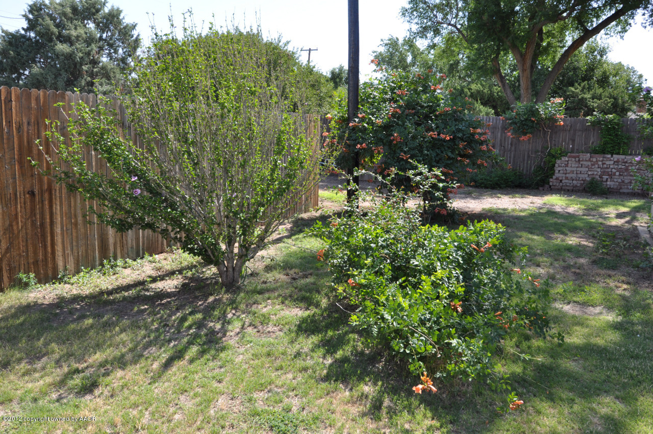 4236 Camp Lane Amarillo, TX 79110 - Photo 23 of 26 Backyard Flowers