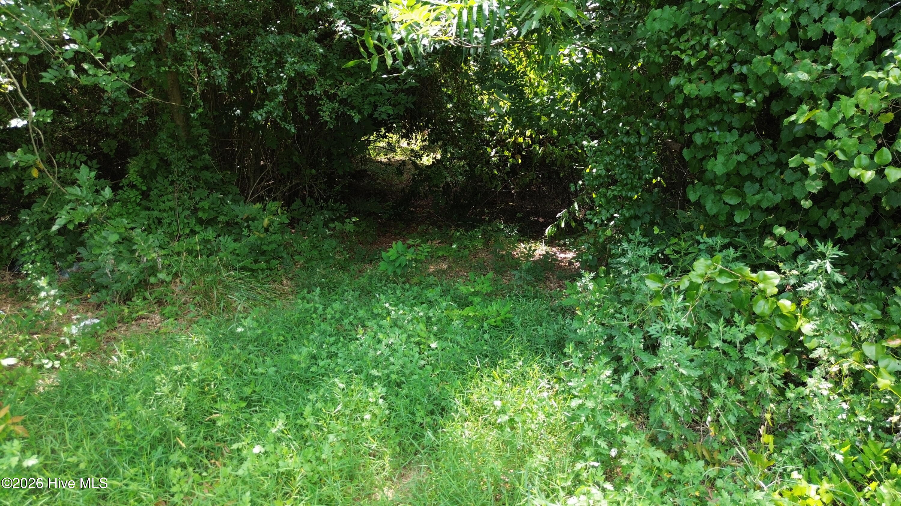 Tbd Tbd Point Atkinson, NC 28421 - Photo 6 of 10 Gallery Image 6