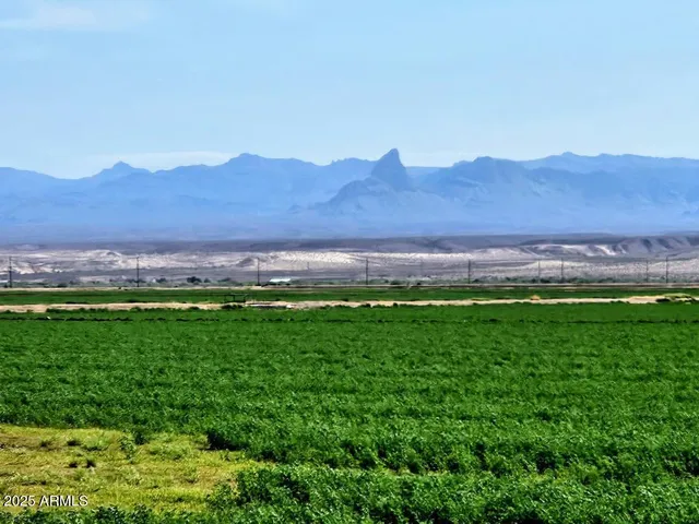 a view of a lush green hillside and houses