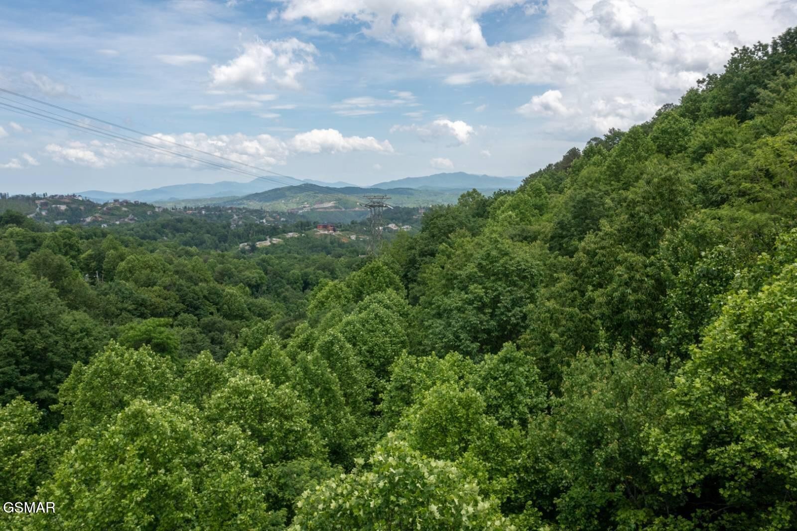 11 Zurich Road Gatlinburg, TN 37738 - Photo 12 of 14