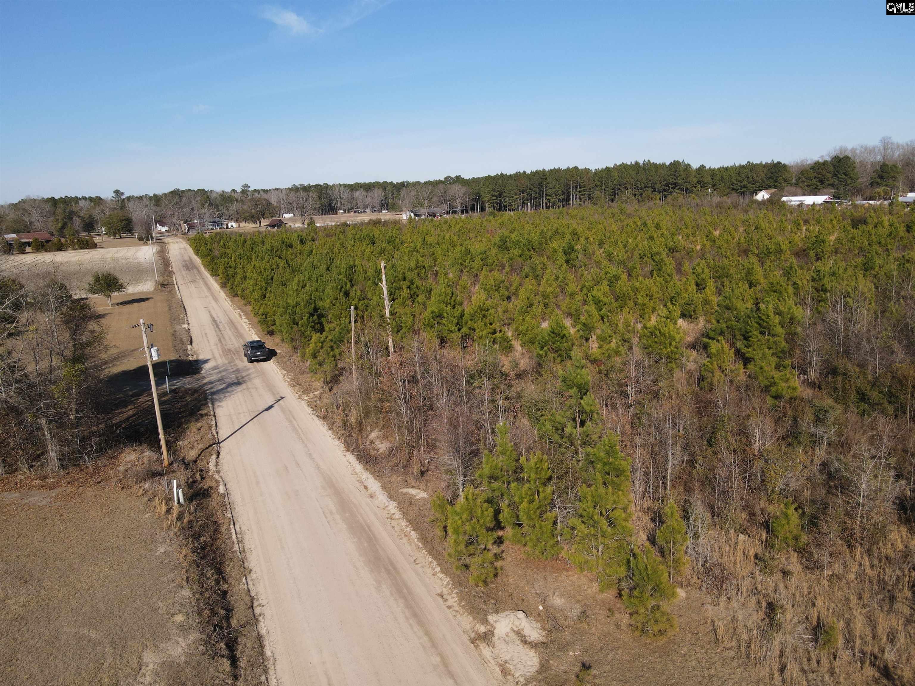 0 Proctor Road Cope, SC 29038 - Photo 7 of 11