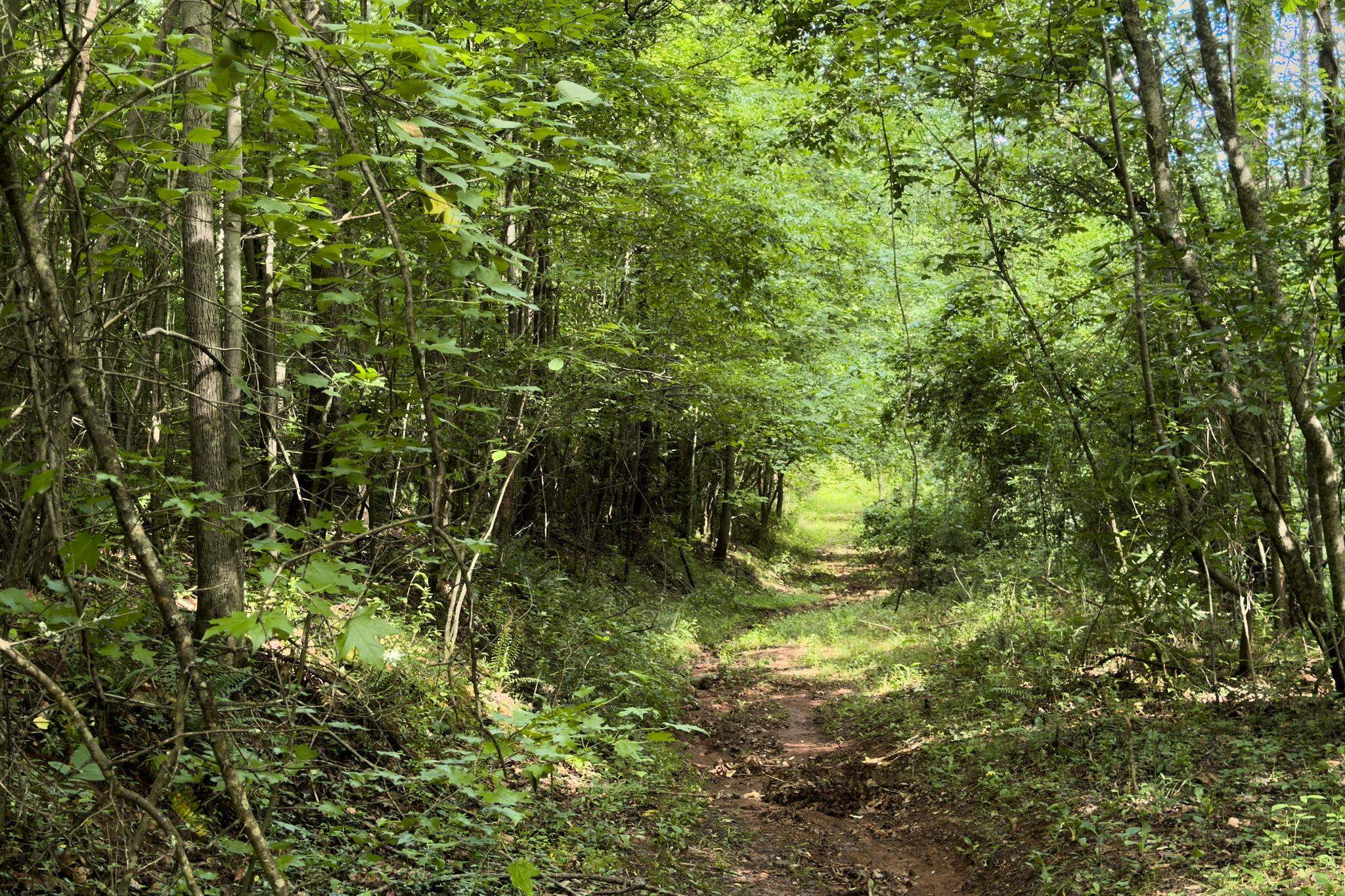 Tbd Melvin Hill Road Campobello, SC 29322 - Photo 13 of 29