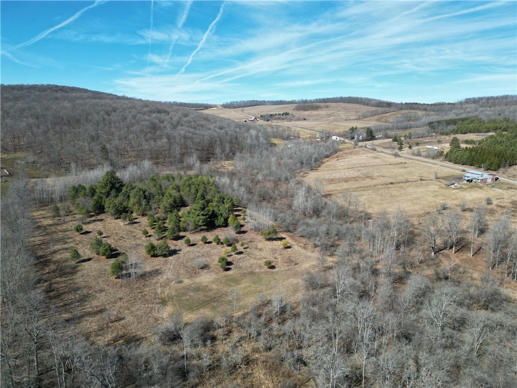 2797 Gunn Road Troupsburg, NY 14885 - Photo 44 of 50