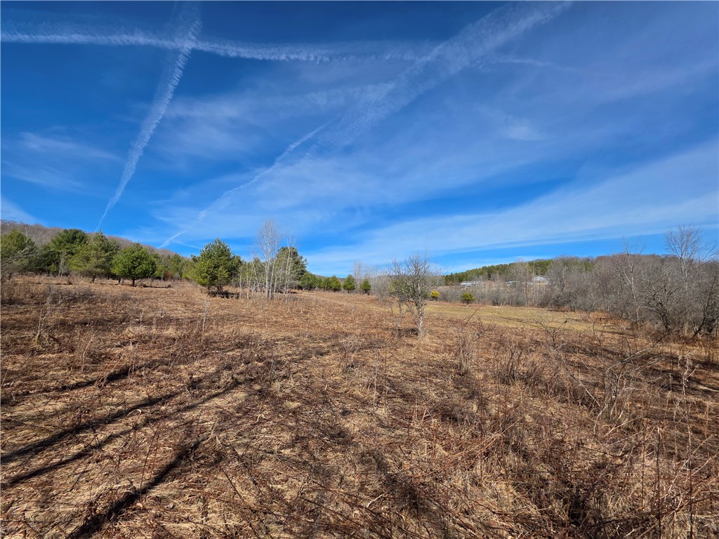 2797 Gunn Road Troupsburg, NY 14885 - Photo 46 of 50