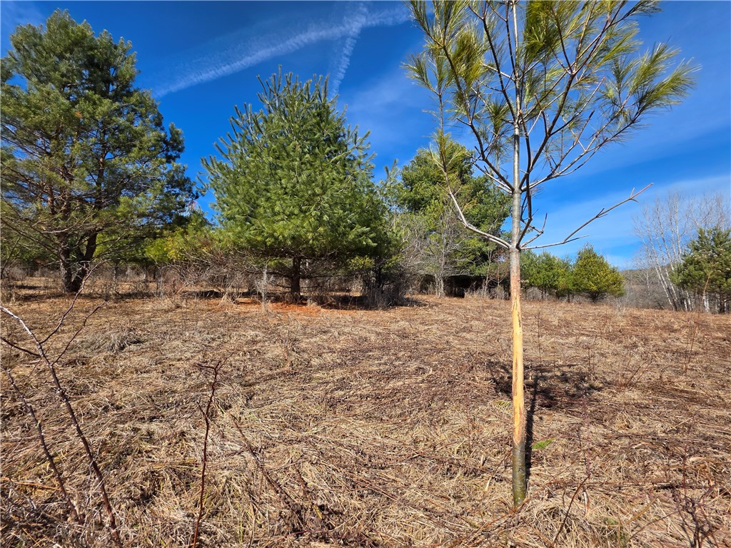 2797 Gunn Road Troupsburg, NY 14885 - Photo 47 of 50