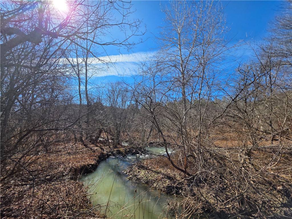 2797 Gunn Road Troupsburg, NY 14885 - Photo 48 of 50