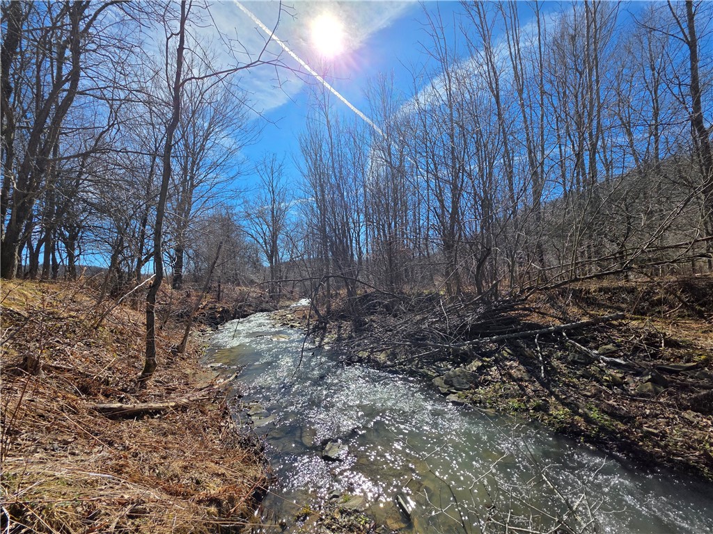 2797 Gunn Road Troupsburg, NY 14885 - Photo 49 of 50