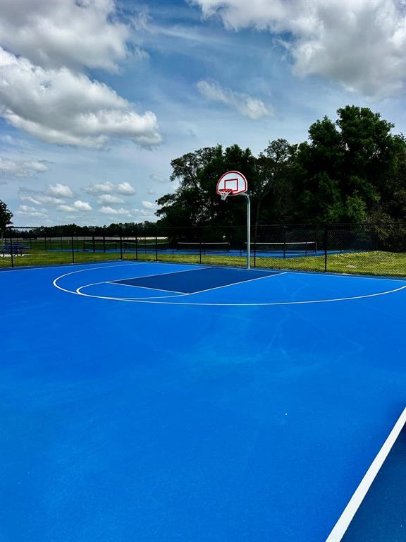 5844 Southwest 132nd Place Ocala, FL 34473 - Photo 20 of 21 a view of a swimming pool and mountains