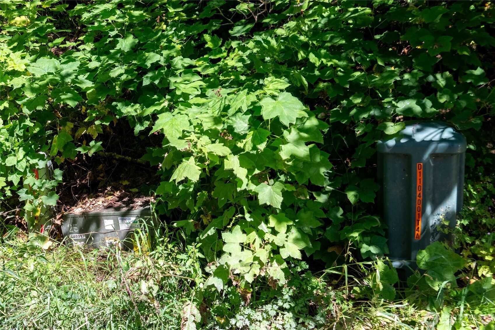 9075 Upper Frost Creek Road Maple Falls, WA 98266 - Photo 27 of 37 Gallery Image 27