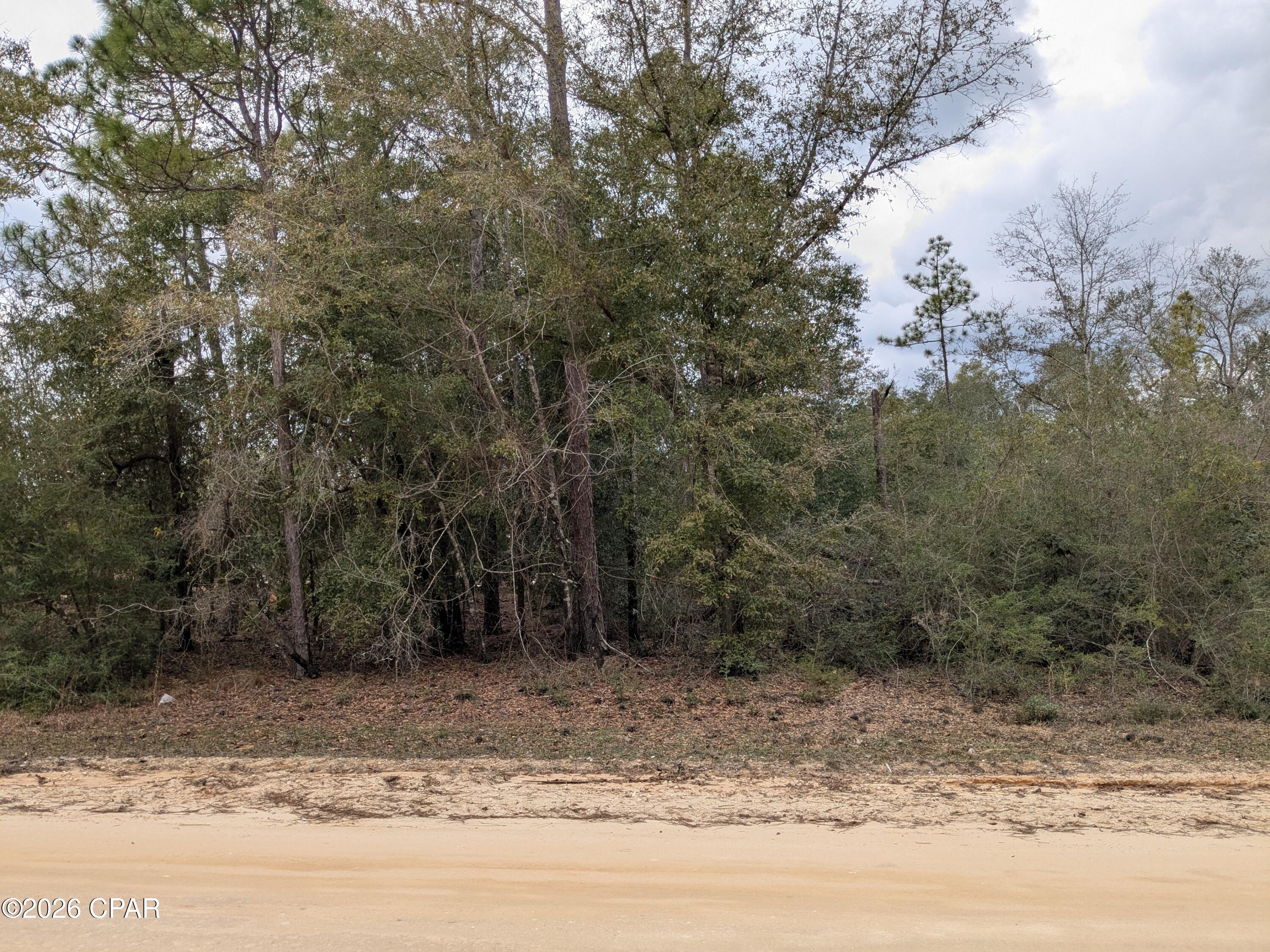 0 Pilgrim Rest Church Road Marianna, FL 32448 - Photo 3 of 11 Gallery Image 3