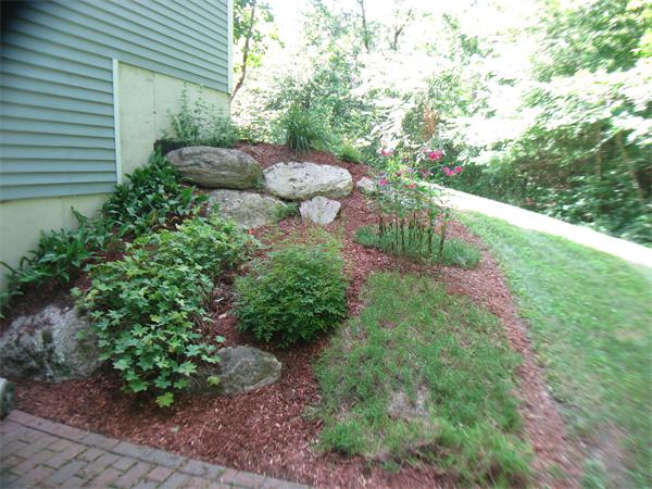 37 Patch Hill Road Boxborough, MA 01719 - Photo 20 of 22 a view of a yard with plants and large trees