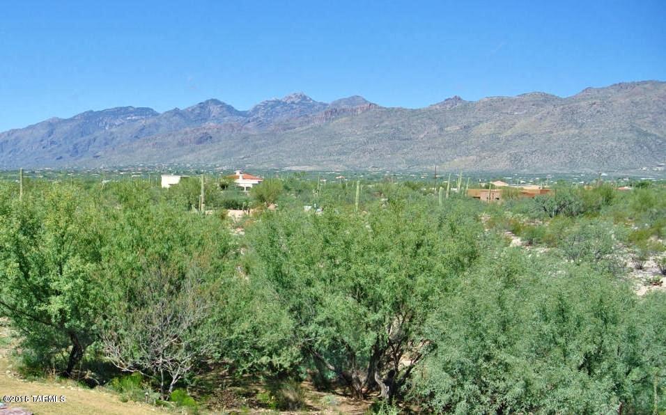12356 East Prince Road, Unit 1 Tucson, AZ 85749 - Photo 4 of 7