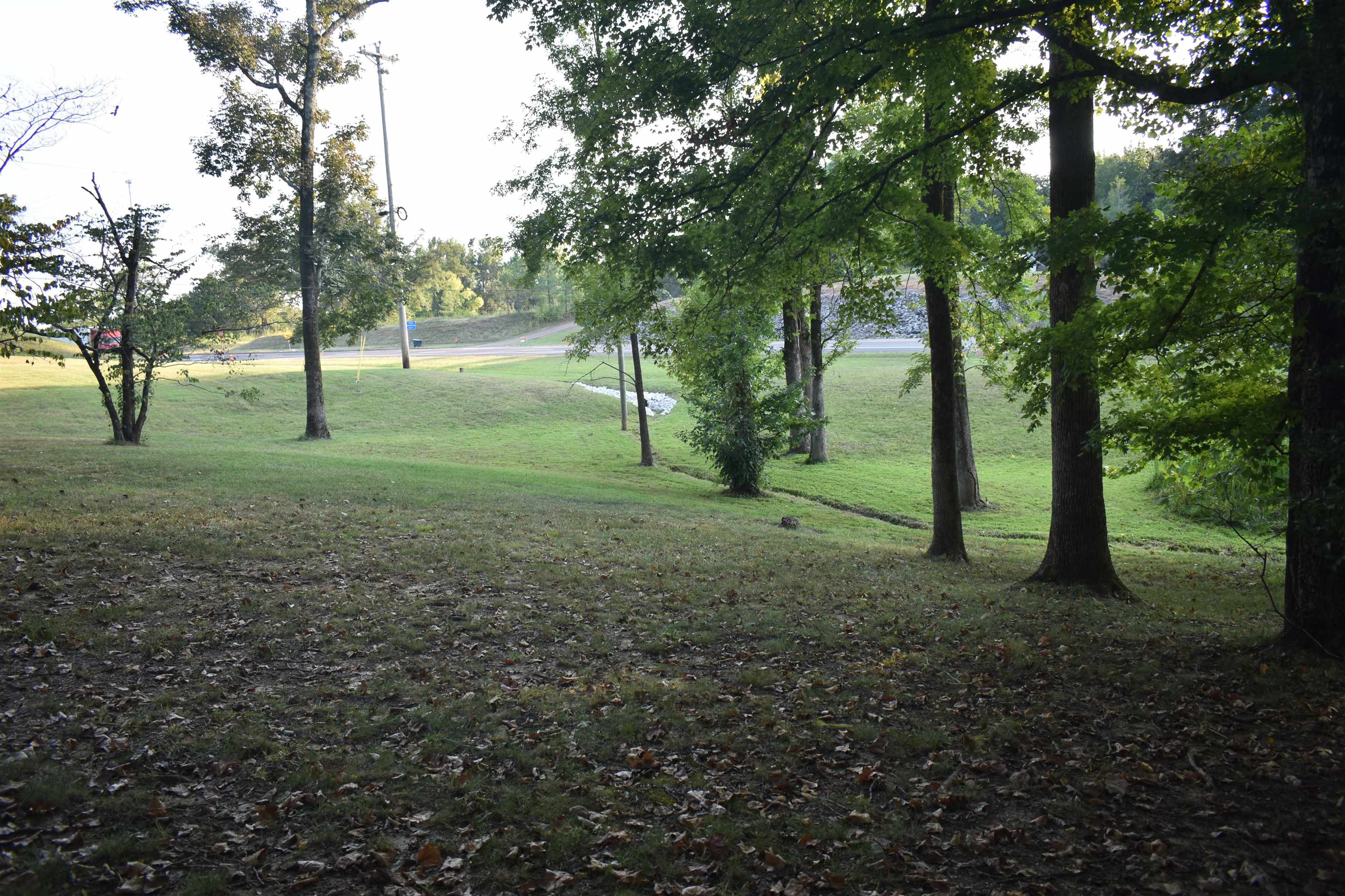 82 Ester Lane Ramer, TN 38367 - Photo 34 of 40 Expansive natural setting with mature trees and a gently sloped grassy area