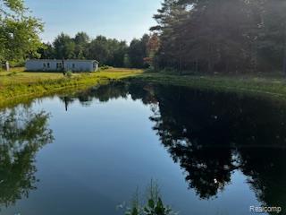 0 Snover Road Sandusky, MI 48471 - Photo 5 of 10