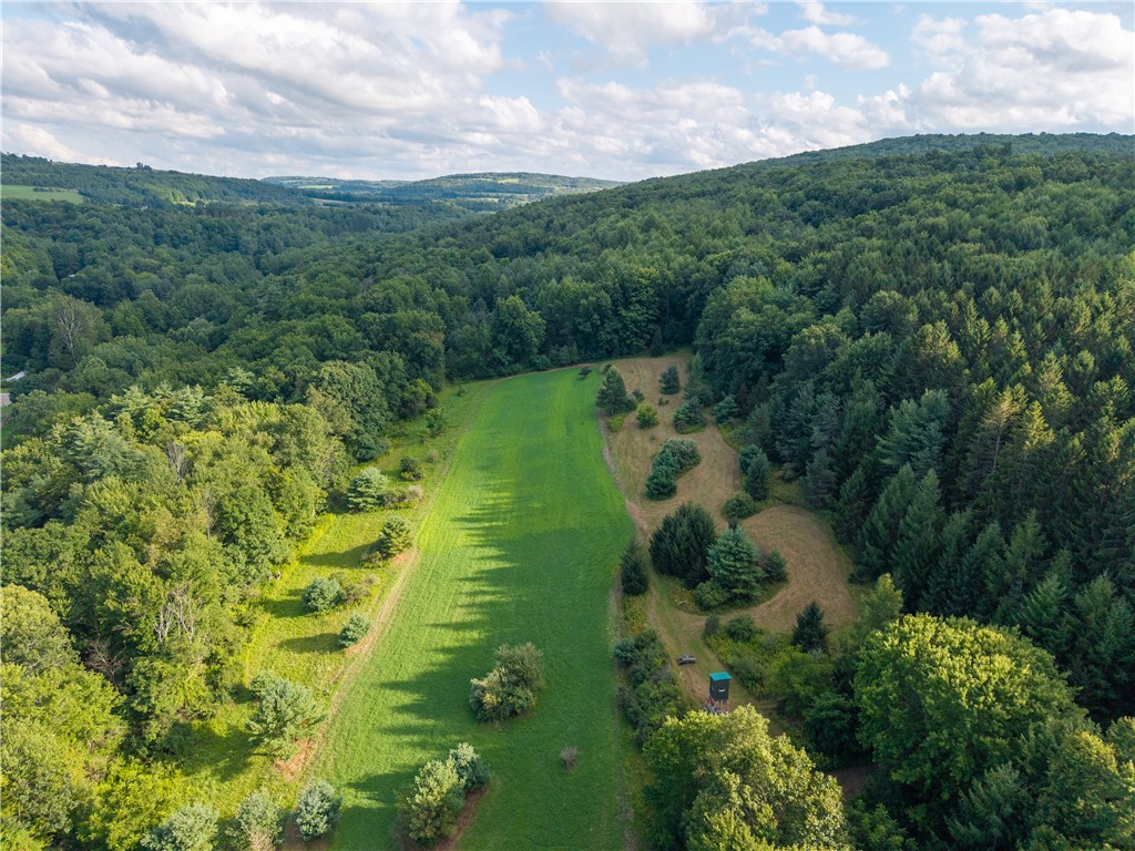 46 County Route Dansville, NY 14437 - Photo 10 of 50 Gallery Image 10