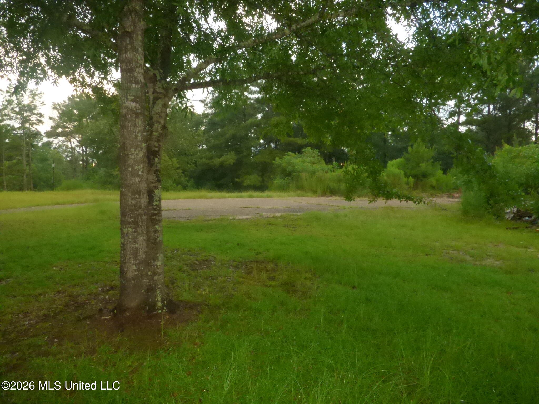 967 Bogue Chitto Road Southeast Bogue Chitto, MS 39629 - Photo 5 of 8 P1350816