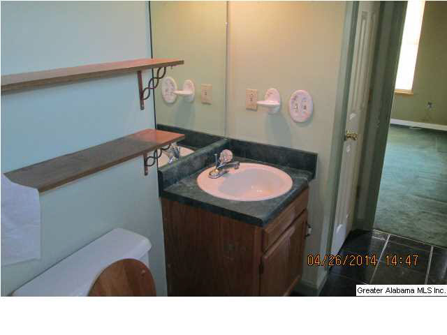 207 County Road 432 Fruithurst, AL 36262 - Photo 20 of 22